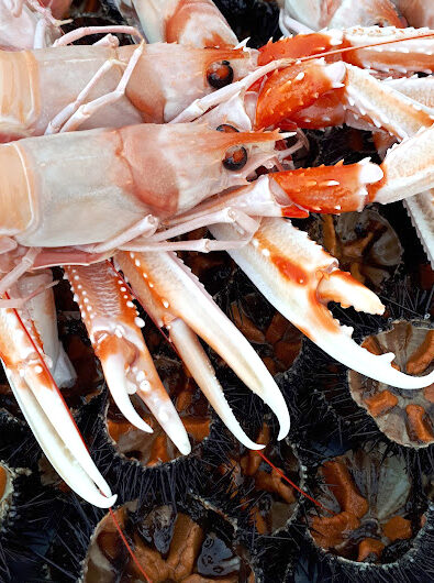 Senza titolo-2 c55opia